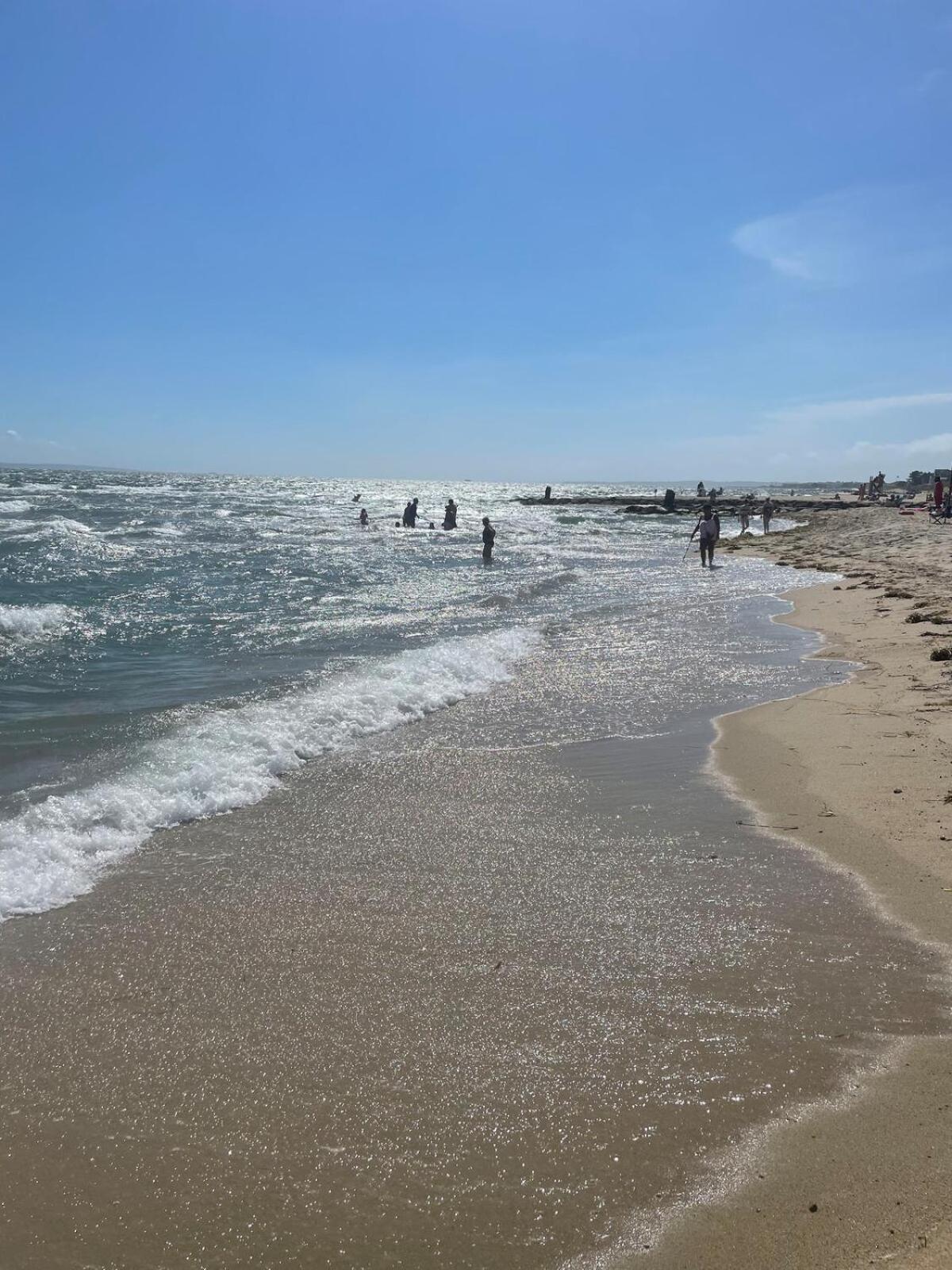 Pet Friendly Cape Cod Near Beaches & Golf! Holiday home *