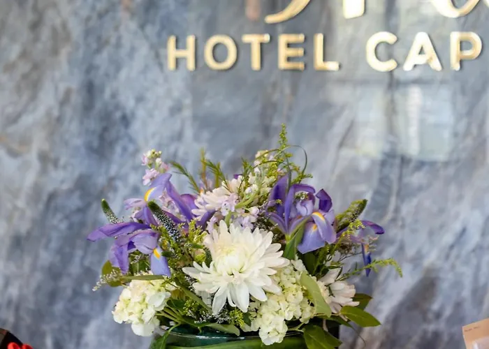 Hotel Cape Cod