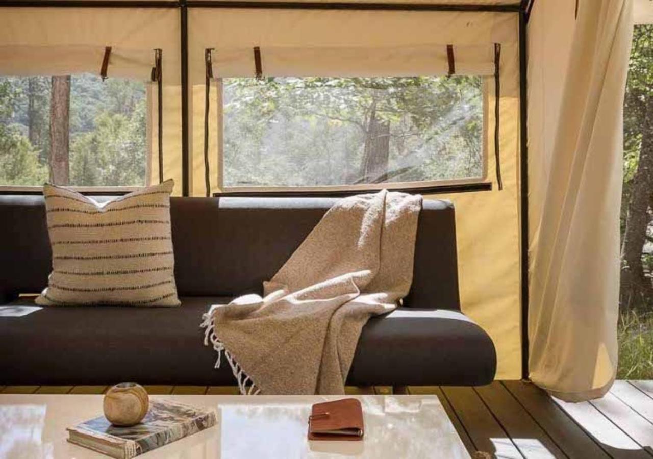 Autocamp Cape Cod 4*
